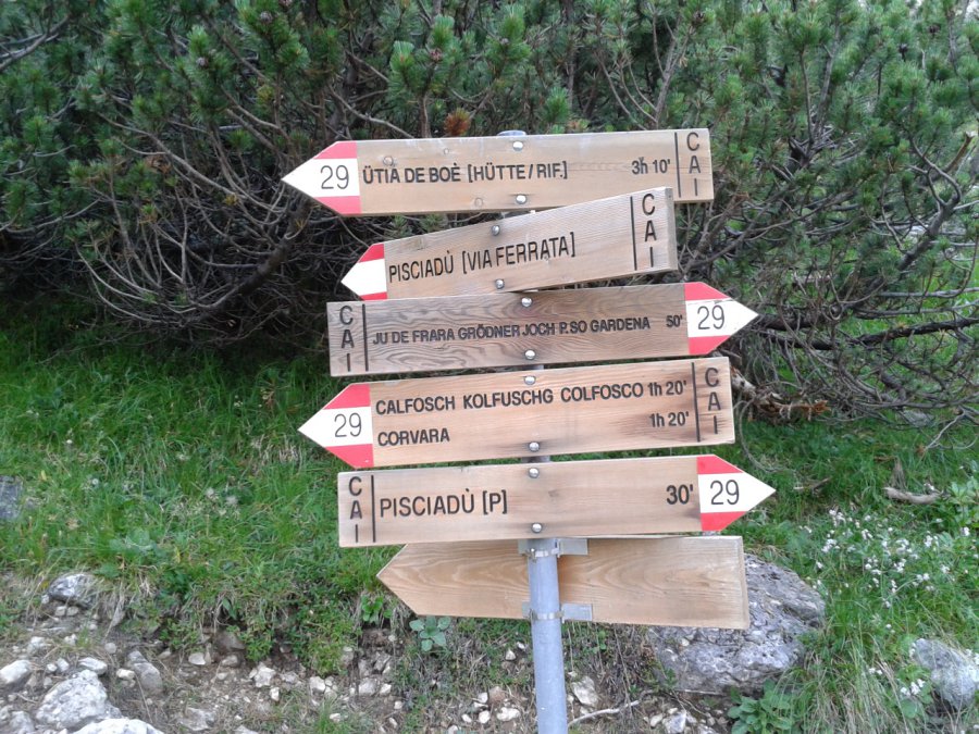 Indicazioni