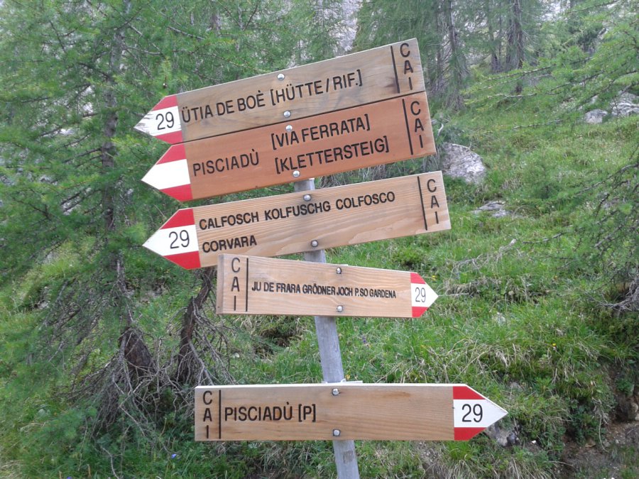Indicazioni