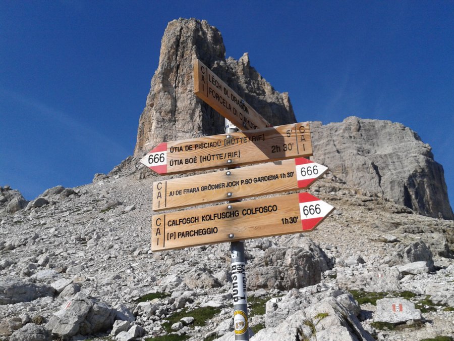 Indicazioni