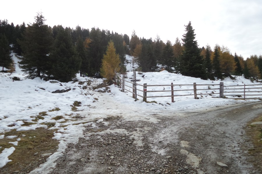 Indicazioni