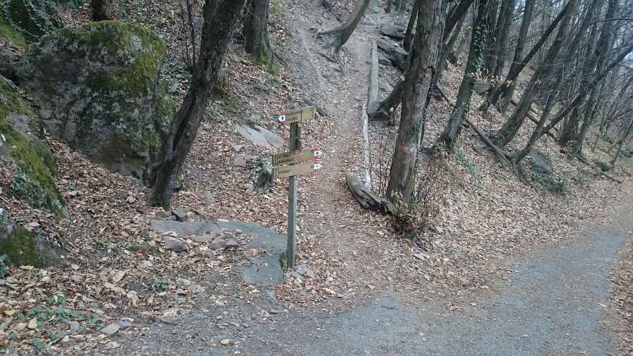 Indicazioni