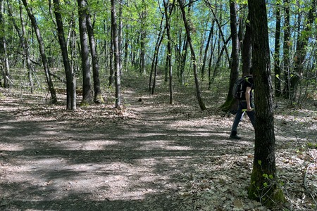 Deviazione a destra, per punto panoramico
