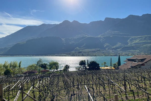 Kalterersee
Lago di Caldaro