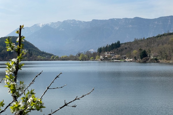 Grosse Montigglersee
Lago di Monticolo grande, punto panoramico