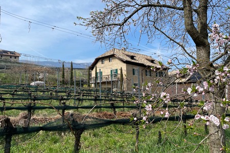 Schreckbichl, Colterenzio
casa colonica