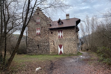 Seeschlössl Sparer, e riva del lago
