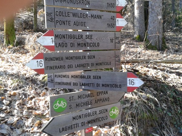 Indicazioni