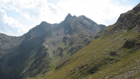 Corno Bianco