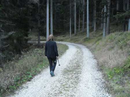 /treks/europe/it/bz/val-d-adige/boh/lago-bianco/strada-bianca-1.jpg