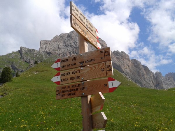 Indicazioni