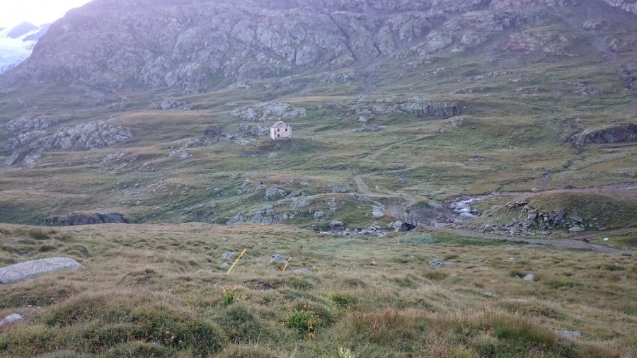 Ponte