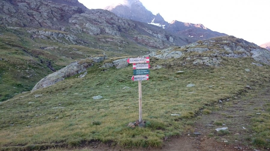 Indicazioni