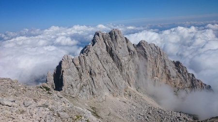 Image_900
