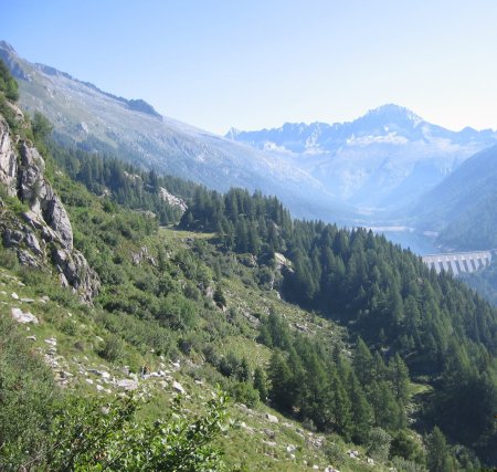 Sentiero verso Passo Campo
