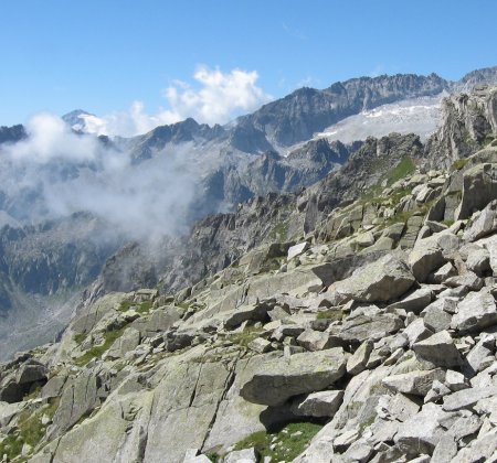 Dettaglio sentiero (2)
