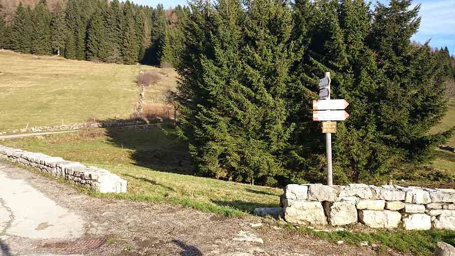 Indicazioni Indicazioni