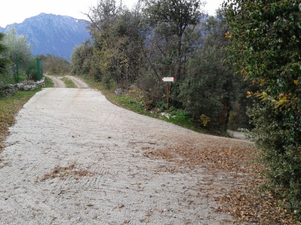 Indicazioni