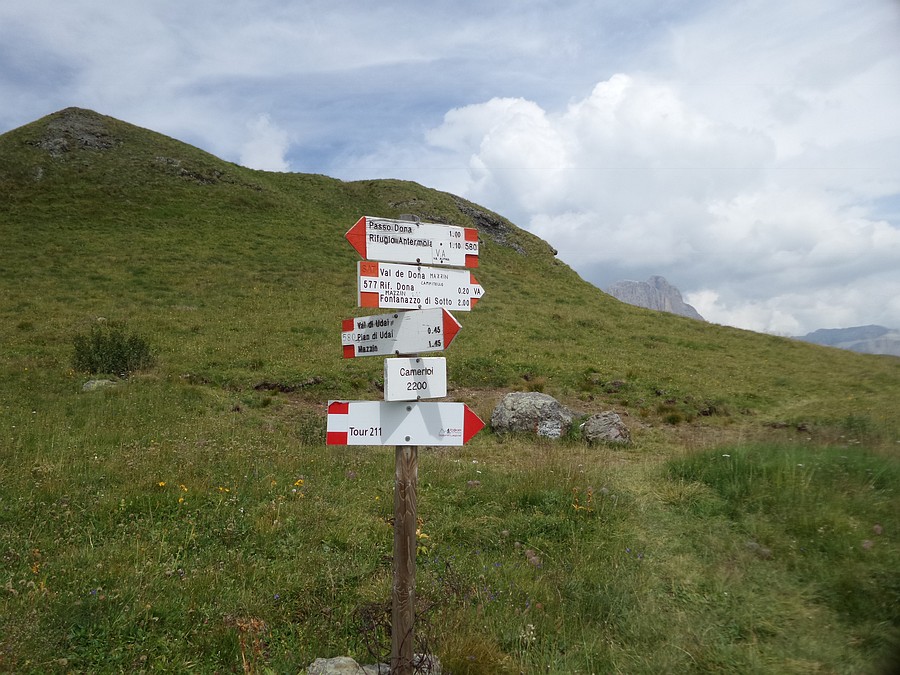 Indicazioni