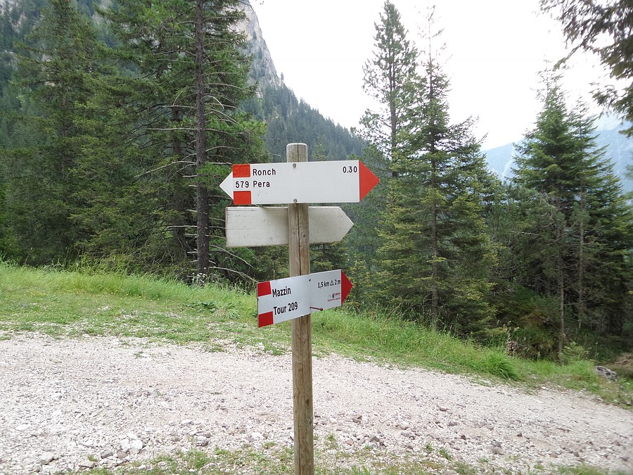 Indicazioni