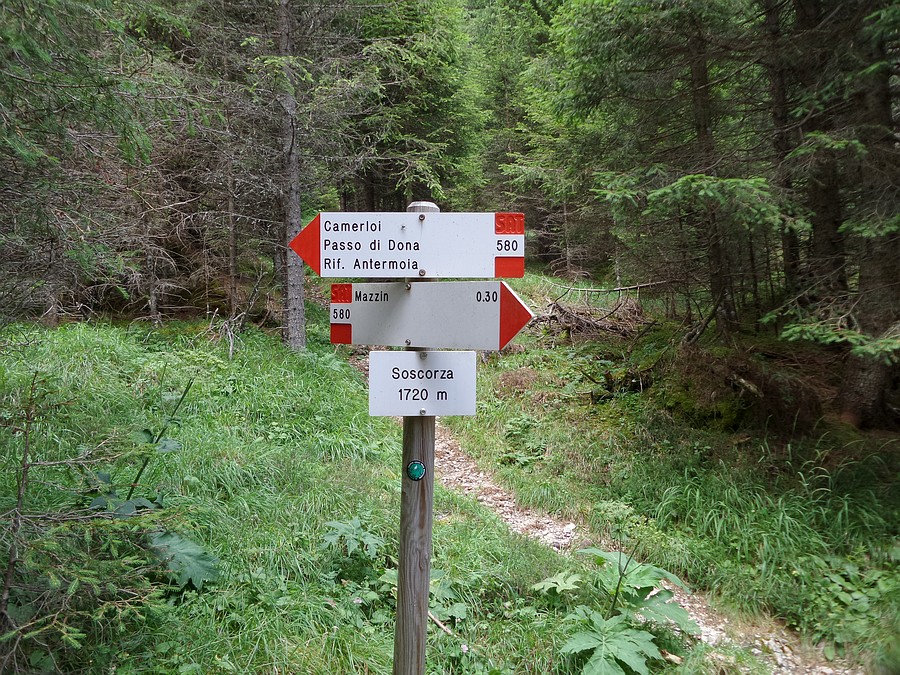 Indicazioni