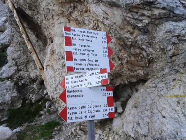 Indicazioni