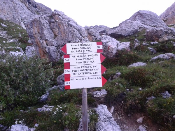 Indicazioni