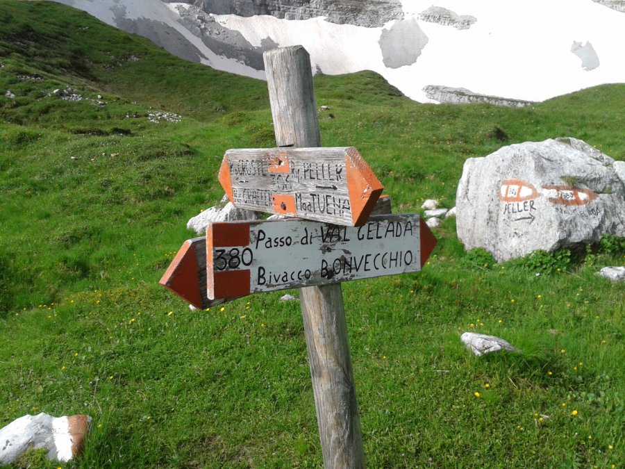 Indicazioni