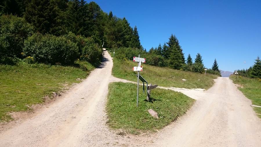 Indicazioni
