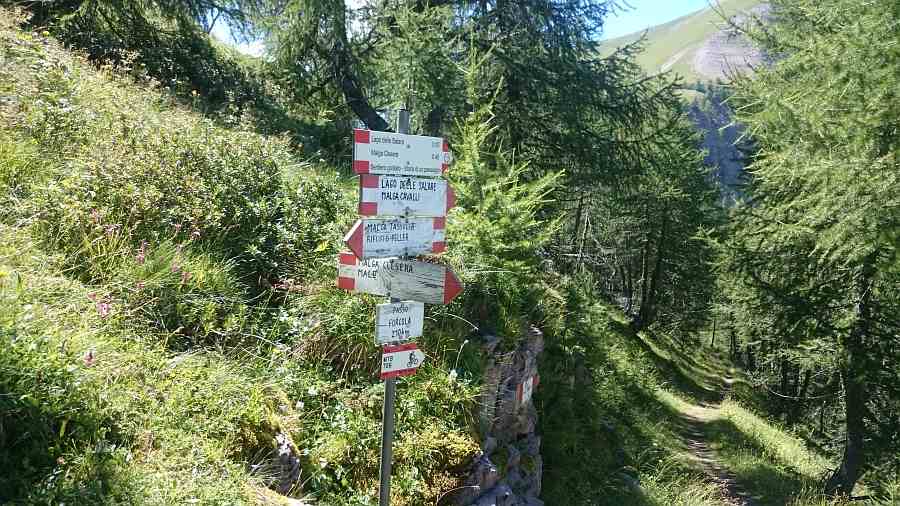 Passo