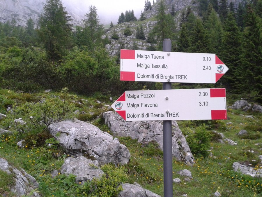 Indicazioni