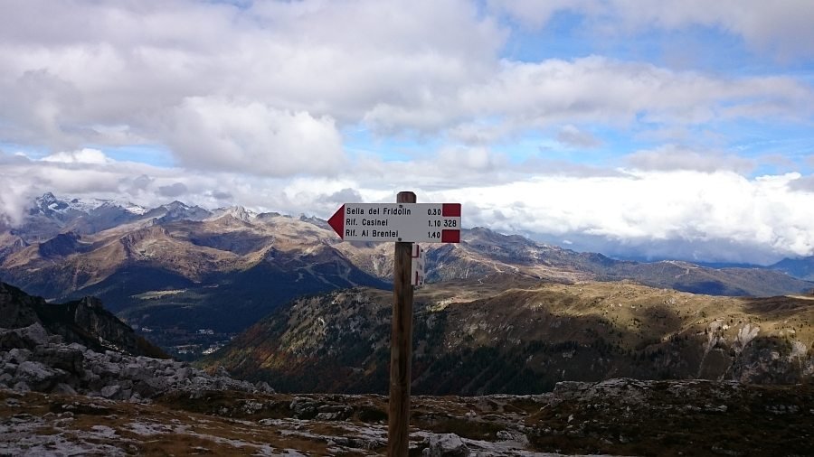 Indicazioni