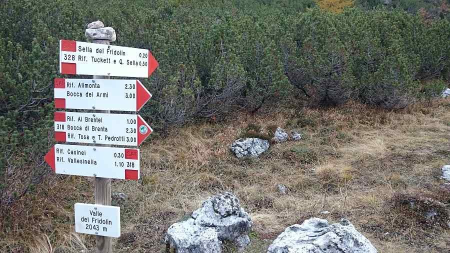 Indicazioni