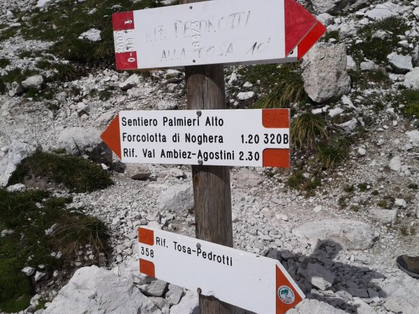 Indicazioni
