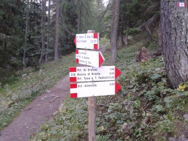 Indicazioni