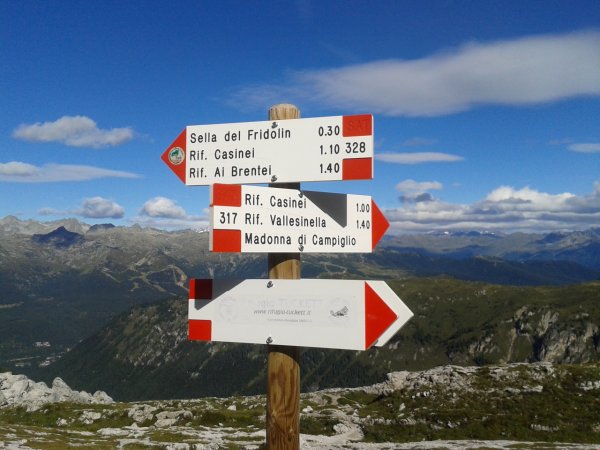 Indicazioni