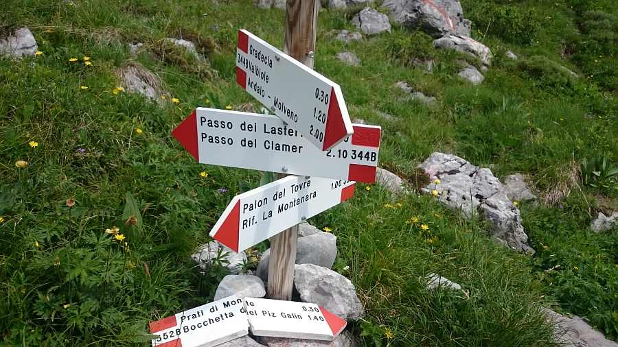Indicazioni