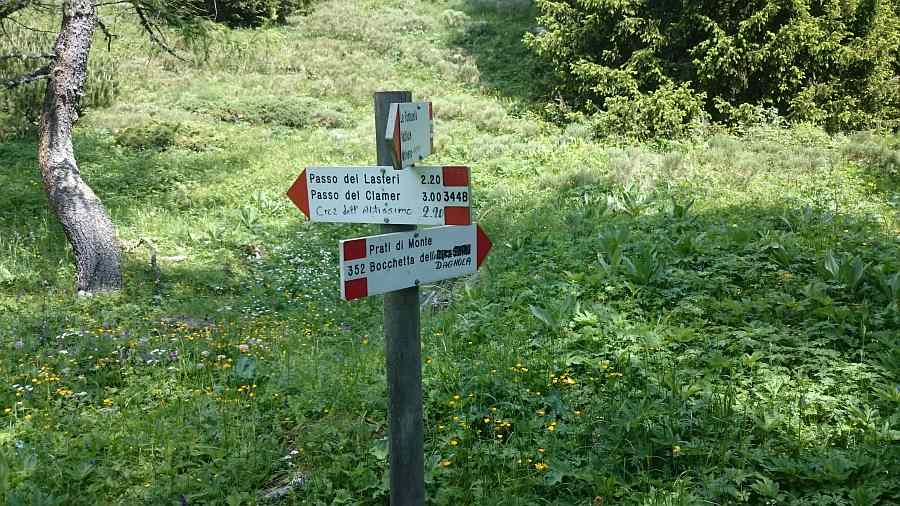 Indicazioni