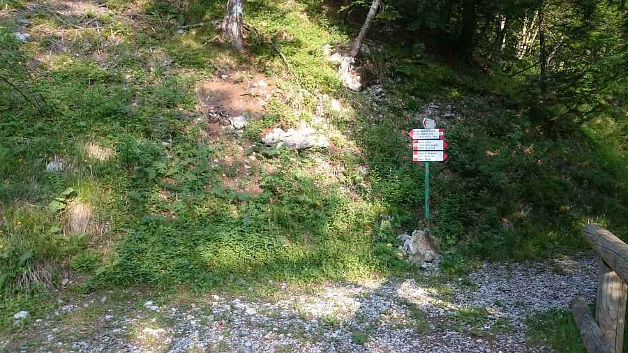 Indicazioni