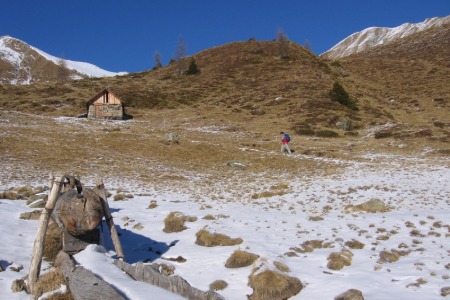 Albi e baito
Albi e baito