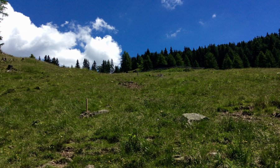 Malga