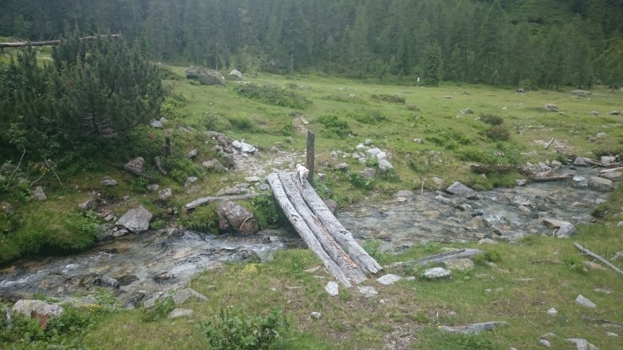 Ponte