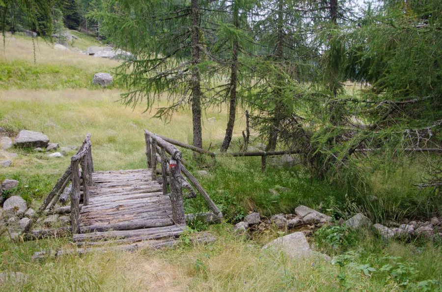 Ponte