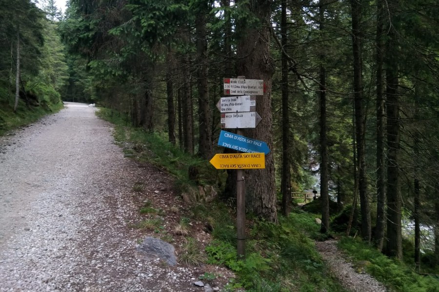 Indicazioni