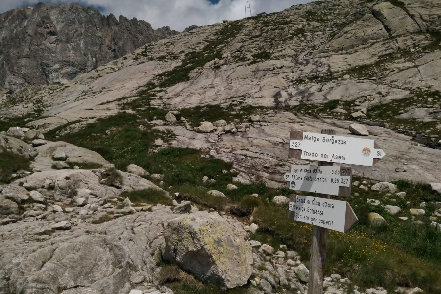 Indicazioni