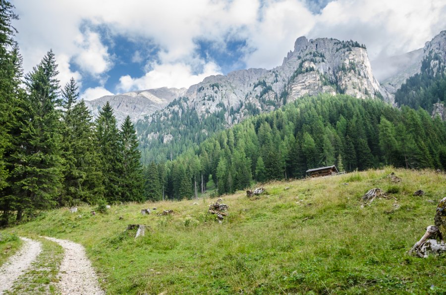 Malga