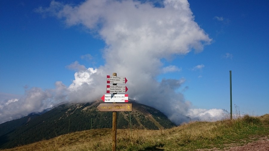 Indicazioni
