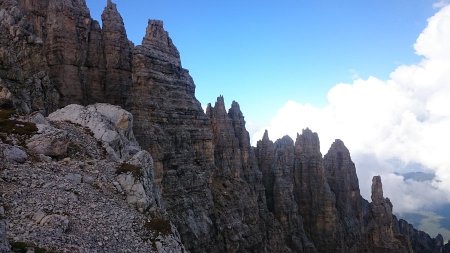 Forella dei Campanili
