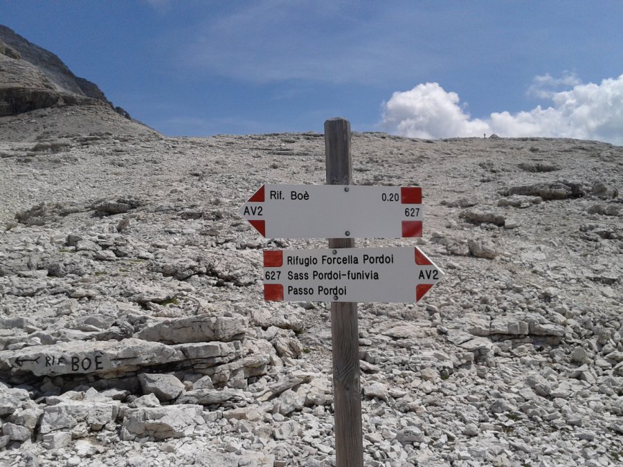 Indicazioni