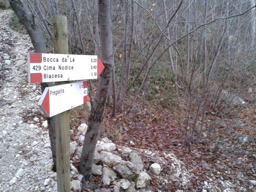 Indicazioni