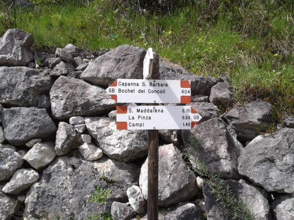 Indicazioni